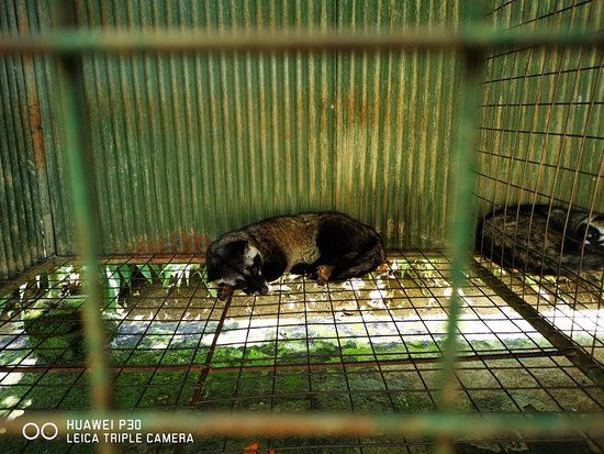 Kebune Bali Agrotourism